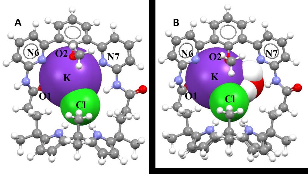receptor 1 with (A) NaCl and (B) NaCl H 2O.