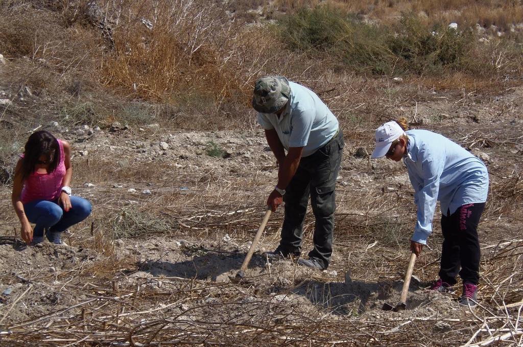 λάκκων.