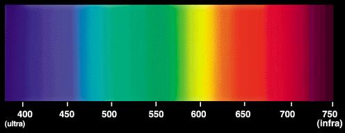 Svetloba kot del EM spektra Vidna svetloba zajema področje od približno 340 do približno 830