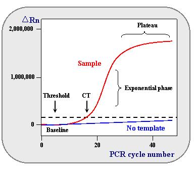 Ζλεγχοσ Ιαιμίασ -PCR