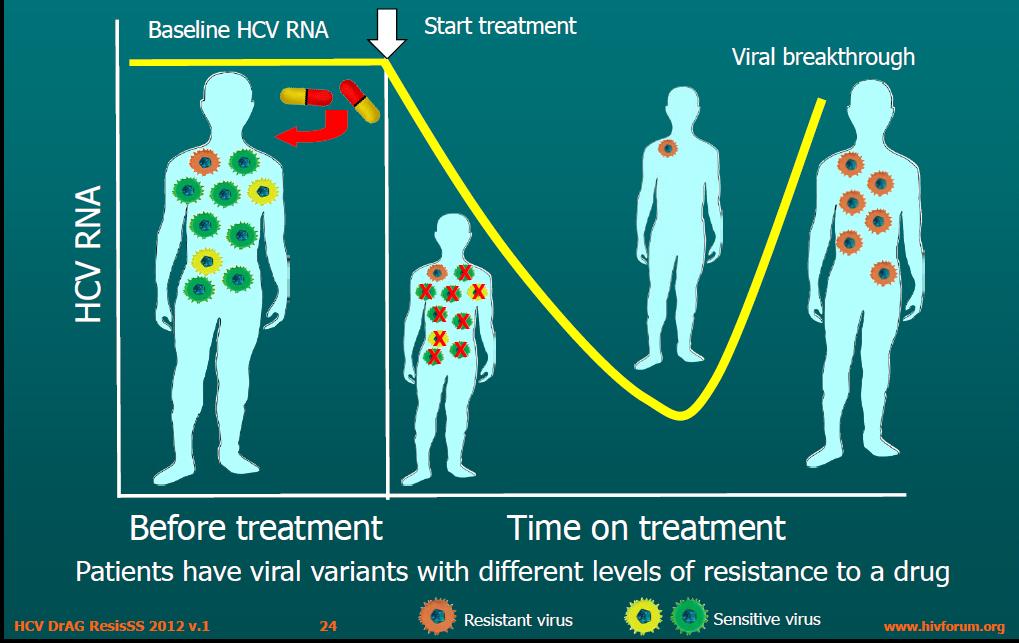 Αντοχι ςε DAA HCV γενετικι ετερογζνεια ςυγγενϊν ςτελεχϊν