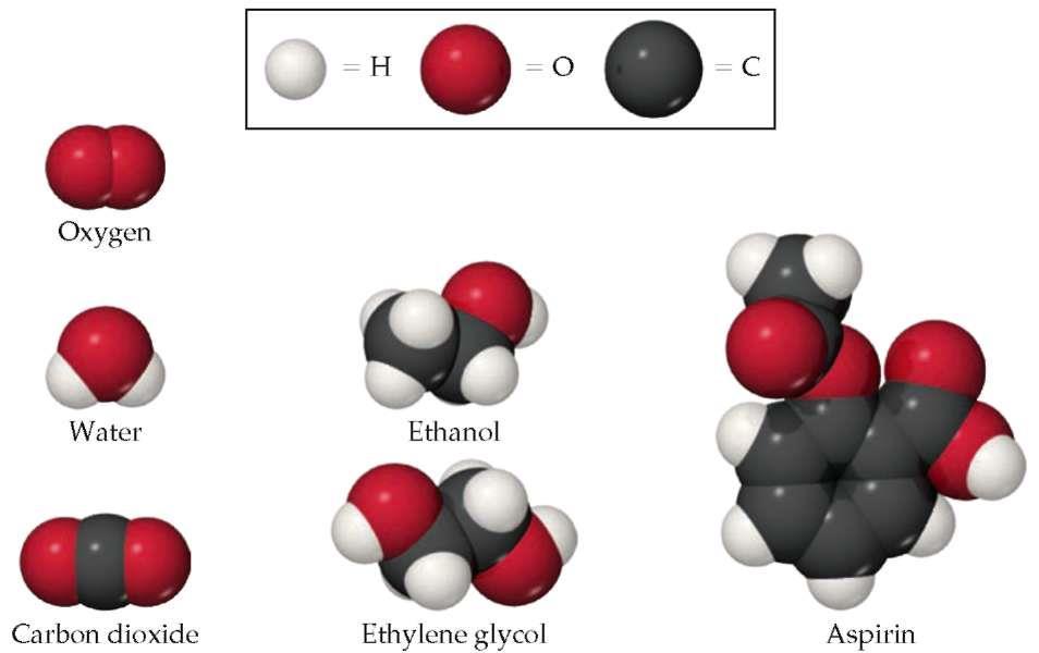 Μόξηα Σηα κόξηα, δύν ή πεξηζζόηεξα είδε αηόκσλ ελώλνληαη