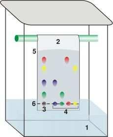 Klasifikácia chromatografických metód. kolónová chromatografia (stacionárna fáza v tvare stĺpca).
