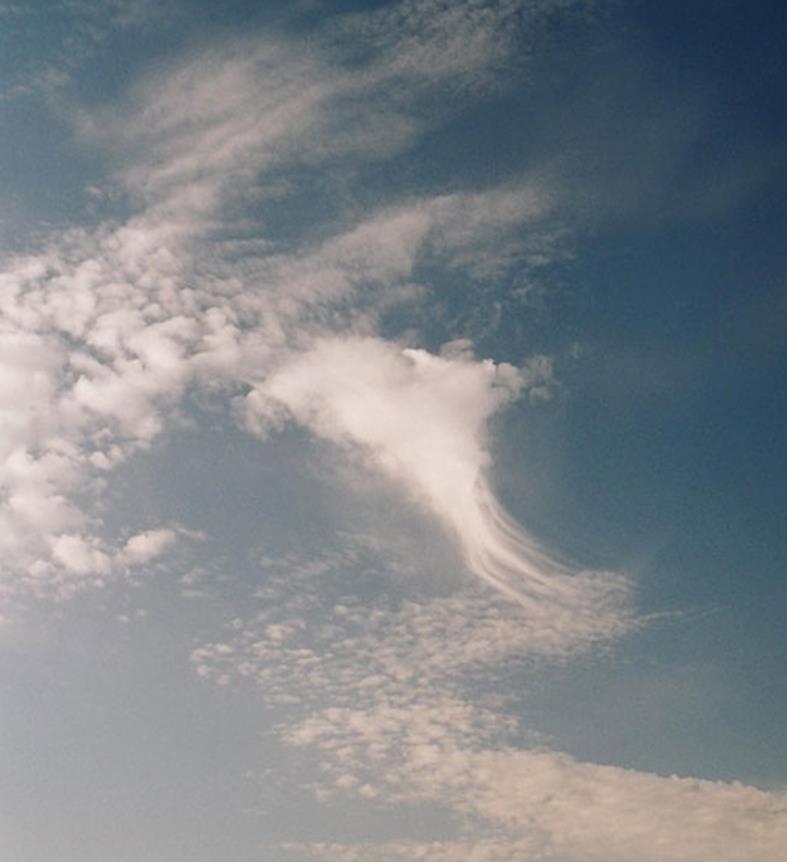 Слика 100. Cirrus unccius (Cu) Раздвоени облаци по глетка бели, нежен прамен, поголем дел бели банки или тесни ленти.
