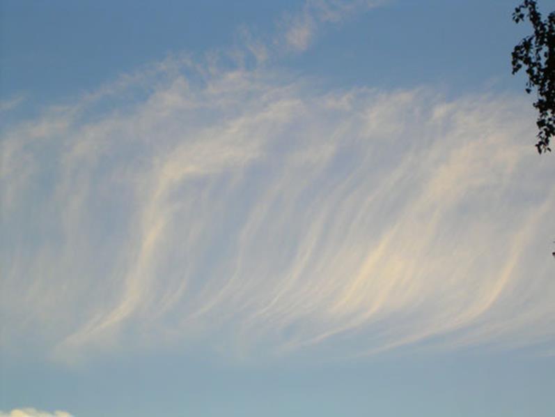 Слика 109. Long Cirrus fibratus Одделени со тенки облаци или облачен превез, составен од речиси права линија, повеќе или помалку криви или неправилни, но тоа не завршува со куки или китки.