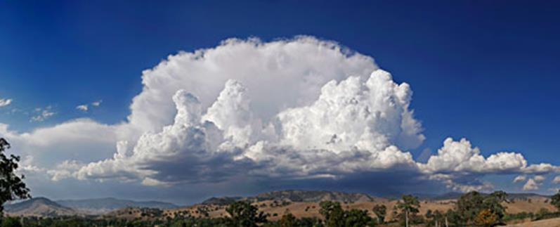 Calvus Карактеристики на cumulonimbus, во која барем некои protuberances на горниот Cumulus почнуваат да го губат својот изглед,