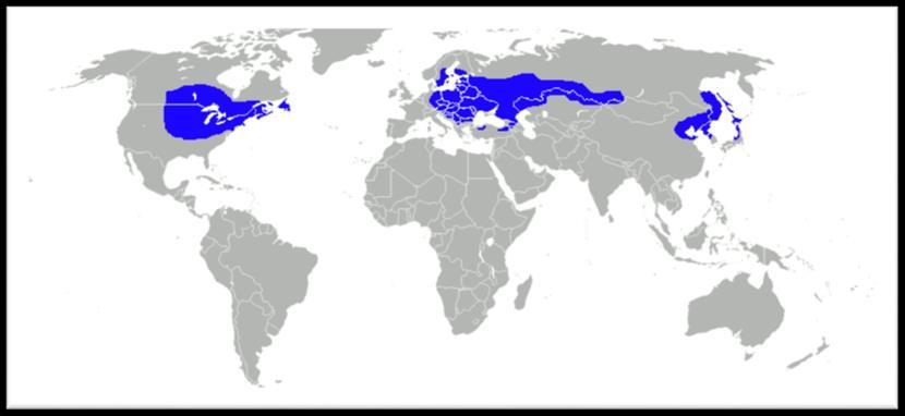 87. КЛИМАТСКИ ТИПОВИ ВО МАКЕДОНИЈА Во Македонија се среќаваат три основни климатски типови, и тоа: Изменето средоземноморска Планинска Умерено-континентална клима Летата се суви и топли, а зимите