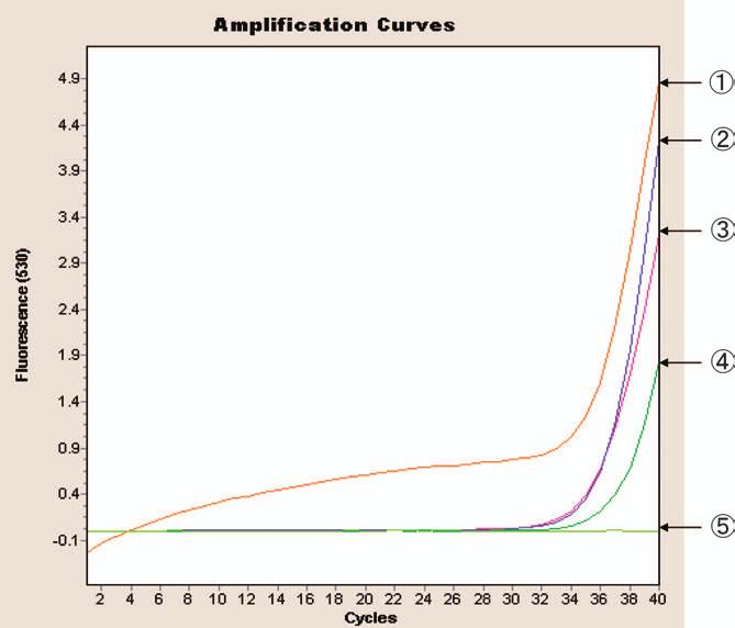 Mycoplasma pneumoniae Real-Time PCR 151 Fig. 3. PCR 12,000 G 2 min 12,000 G 15 s 12,000 G 30 s 12,000 G 1 min 12,000 G 2 min (1) Primer M. pneumoniae DNA 2 primer primer PCR Fig. 1 primer A TM 84.