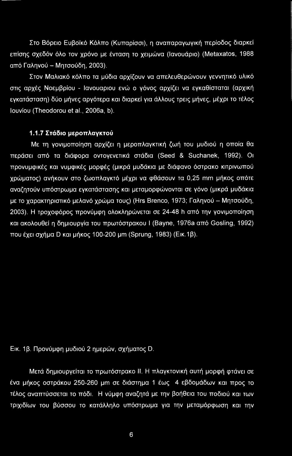 Οι προνυμφικές και νυμφικές μορφές (μικρά μυδάκια με διάφανο όστρακο κιτρινωπού χρώματος) ανήκουν στο ζωοπλαγκτό μέχρι να φθάσουν τα 0,25 mm μήκος οπότε αναζητούν υπόστρωμα εγκατάστασης και