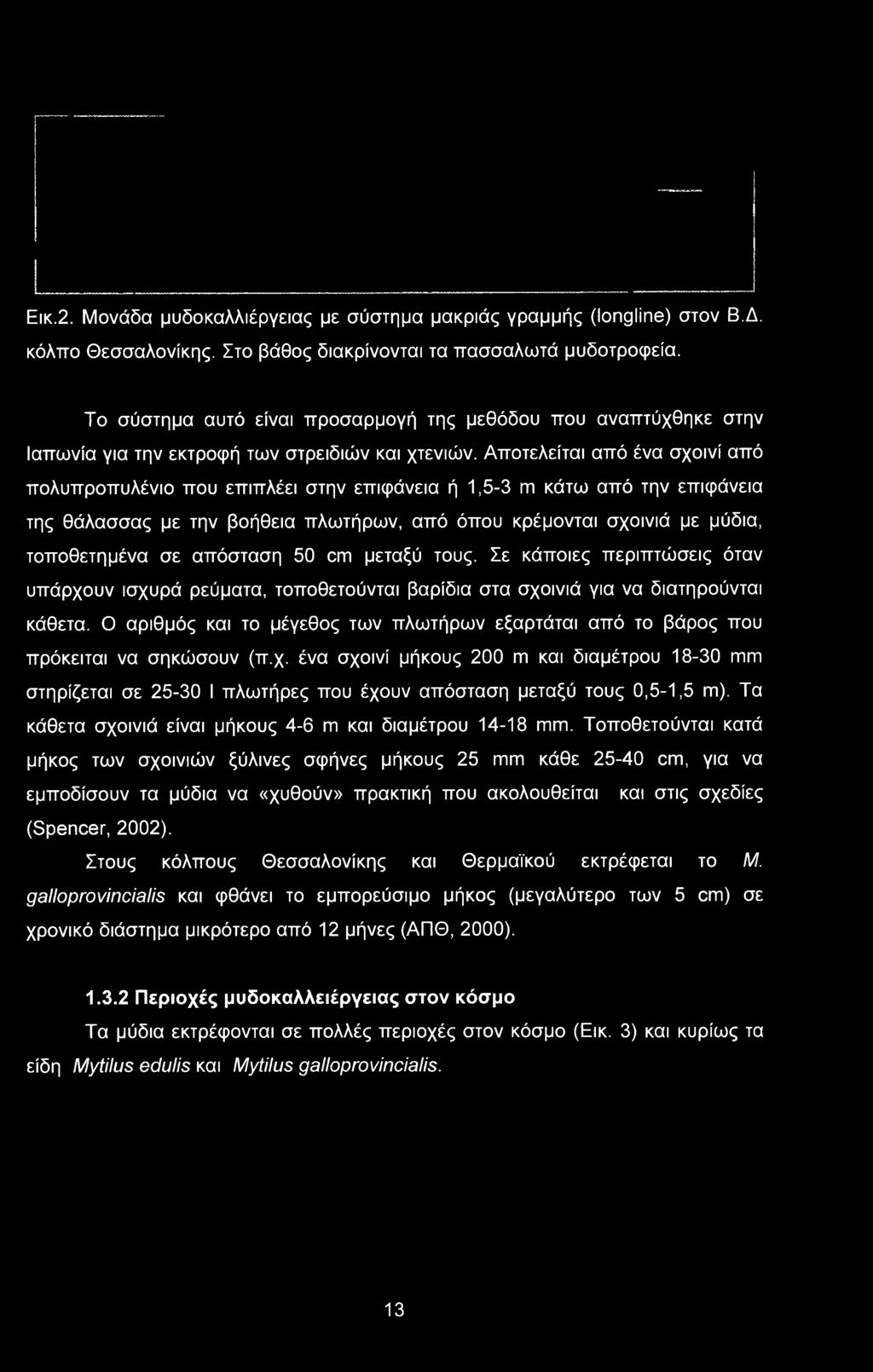 Ο αριθμός και το μέγεθος των πλωτήρων εξαρτάται από το βάρος που πρόκειται να σηκώσουν (π.χ.