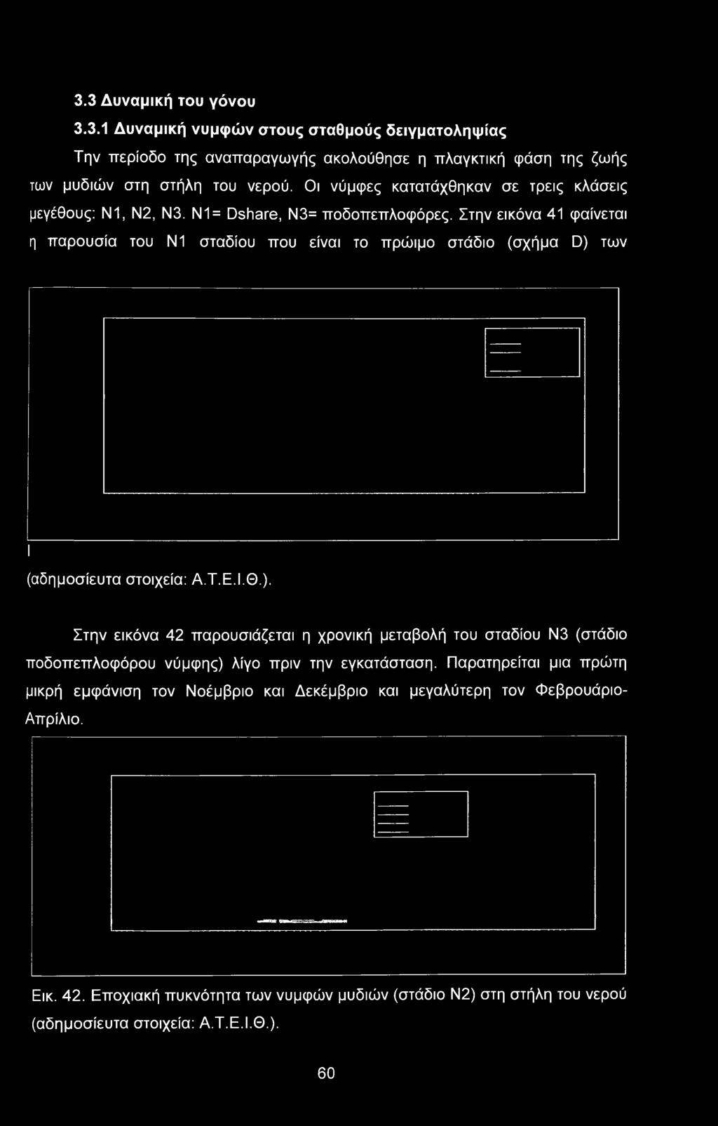 Στην εικόνα 41 φαίνεται η παρουσία του Ν1 σταδίου που είναι το πρώιμο στάδιο (σχήμα D) 