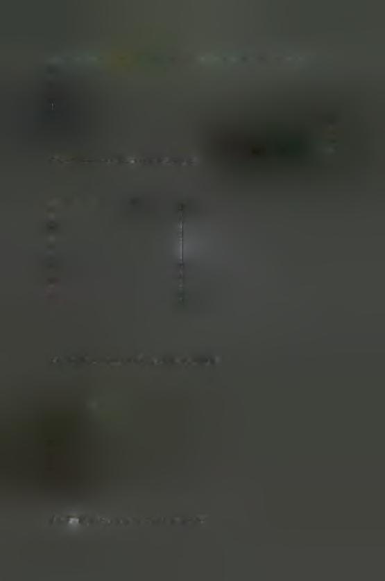36 Πίσω τμήμα ντυμένης