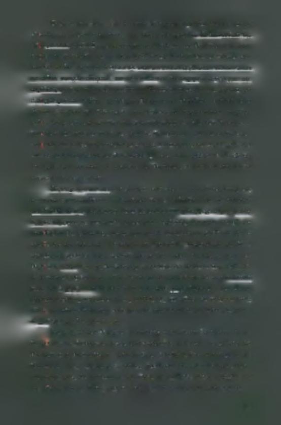 Όπως και στη Λυκία, έτσι και στην Αλικαρνασσό (Καρία) η αρχιτεκτονική γλυπτική έχει σκοπό να προβάλλει την δύναμη του ηγειιόνα.