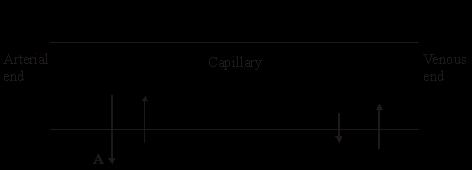 Q1. Tissue fluid is formed when water and small molecules pass out of capillaries at their arterial end. The diagram shows some pressures involved in tissue fluid formation.