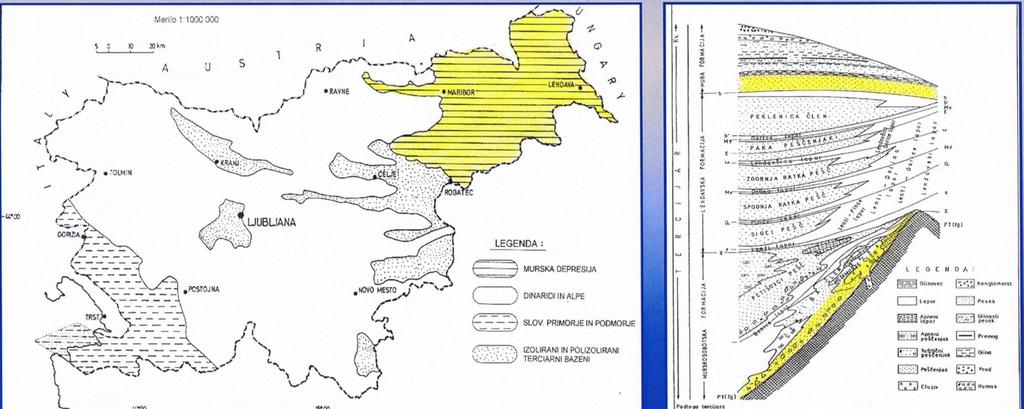 GEOLOŠKA ZGRADBA SV SLOVENIJE GEOLOŠKA ZGRADBA SV SLOVENIJE (MURSKE DEPRESIJE) JE BILA RAZISKANA V OBDOBJU RAZISKAV NAHAJALIŠČ