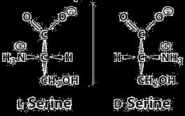 Aminoacizi: structura generală Molecule în oglindă