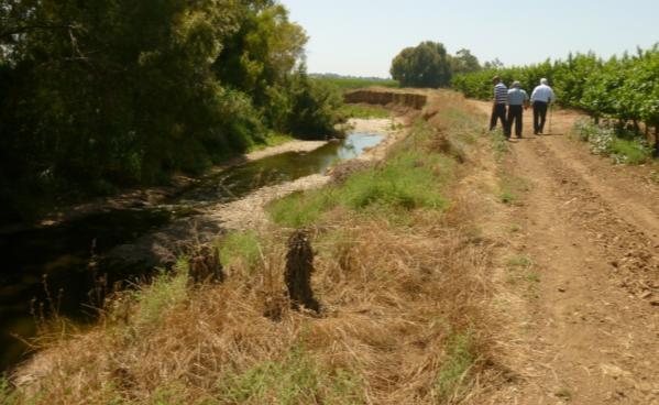 ז. פיתולים באפיק טבעי ותכנון רדיוס פיתולים פיתולים נפוצים באפיקים טבעיים ונוצרים עקב שינויי שיפועים, תכונות קרקע, סחיפה, הובלה ושקיעת סחף לאורך הזרימה.