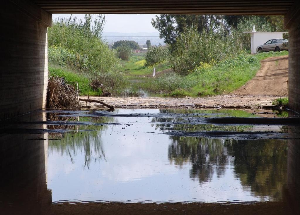 תמונה 9: מעביר למעבר יבש עריף בית בנחל מוצף מים המגביל חיים בעלי מעבר שזקוקים 9.
