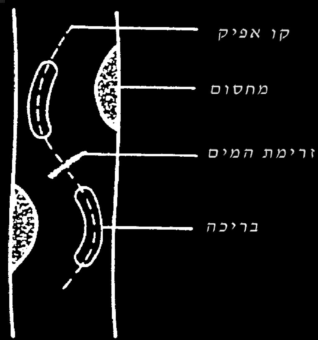 1 צורת התעלה צורת התעלה מתארת את תנוחת התעלה כשהמאפיין הבולט ביותר הינו מידת המיאנדרים שבו.