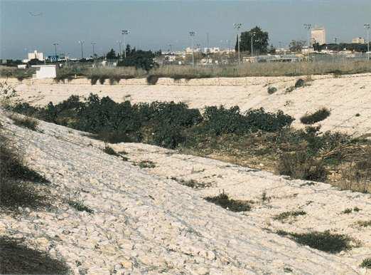 "שדרת הגביונים" בנחל איילון קטע נתב"ג, מספקת הגנה יעילה לגדות האפיק ולקרקעית.