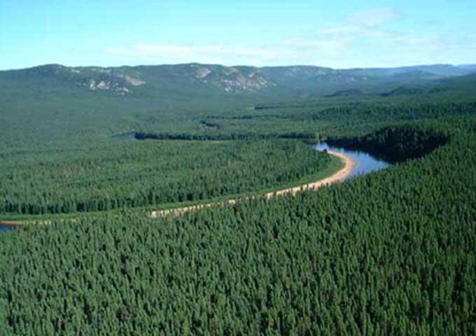 Survey of Canada u