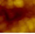 50nm) Ce 0. 85Gd 0.