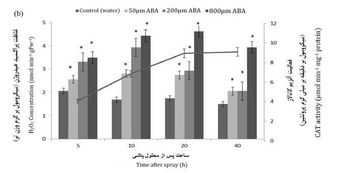 after spray. Values are the means of four replicates. Error bar represent SE with n=4.