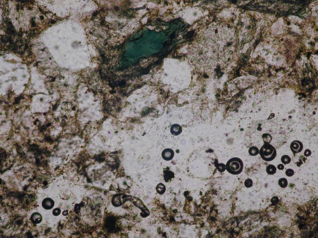 Cloritul: Component: Allogen: cloritizare anterioara (ex.