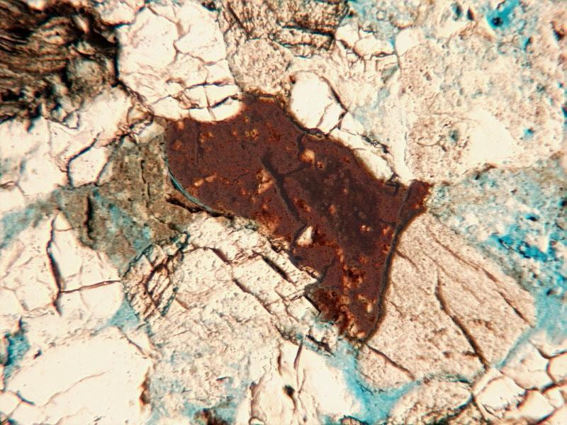 Fragment de argila,
