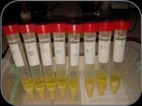 Срђана Петровић Мастер рад Материјал и методе рада Аликвот од 6 ml
