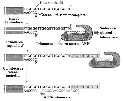 Fig. 7.9.