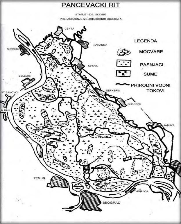 Слика 7. Карта Панчевачког рита из 1929.