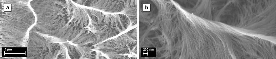 Proprietatile morfologice, structurale si optice ale nanofirelor de ZnO obtinute au fost investigate prin microscopie electronica de baleiaj SEM (Zeiss Evo 50 XVP), microscopie electronica analitica