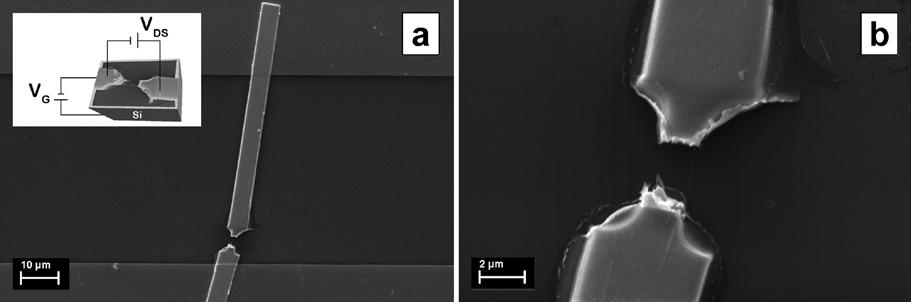 ImagineaTEM (a) si imaginea HRTEM (b) avand in detaliu difractograma SAED ale nanofirelor de ZnO sintetizate chimic.