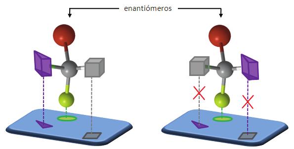 Non ocorre o mesmo cos zapatos (un par de enantiómeros), o zapato dereito (obxecto ou reactivo quiral) encaixa co pé dereito (quiral) pero non co esquerdo, e viceversa.