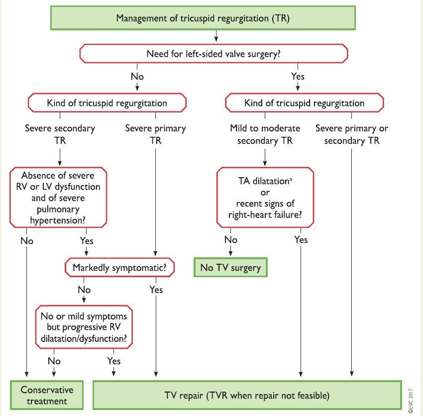 2017 ESC/EACTS Guidelines for the