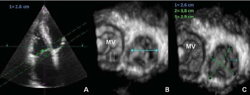 Badano et al European Journal of