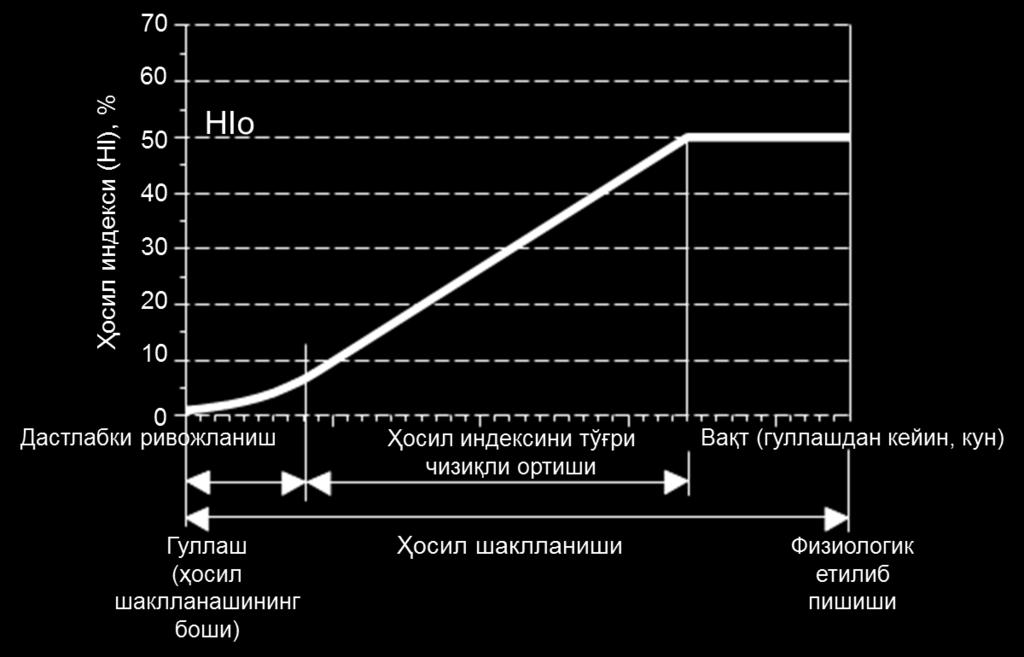 Симуляция пайтида WP* кўрсаткичи янада мувофиқлаштирилиши мумкин: атмосферадаги CO2 миқдори хавола кўрсаткич (369,41 ppm) дан паст ёки юқори бўлса, унда WP* мувофиқлаштириш омилига кўпайтирилади.