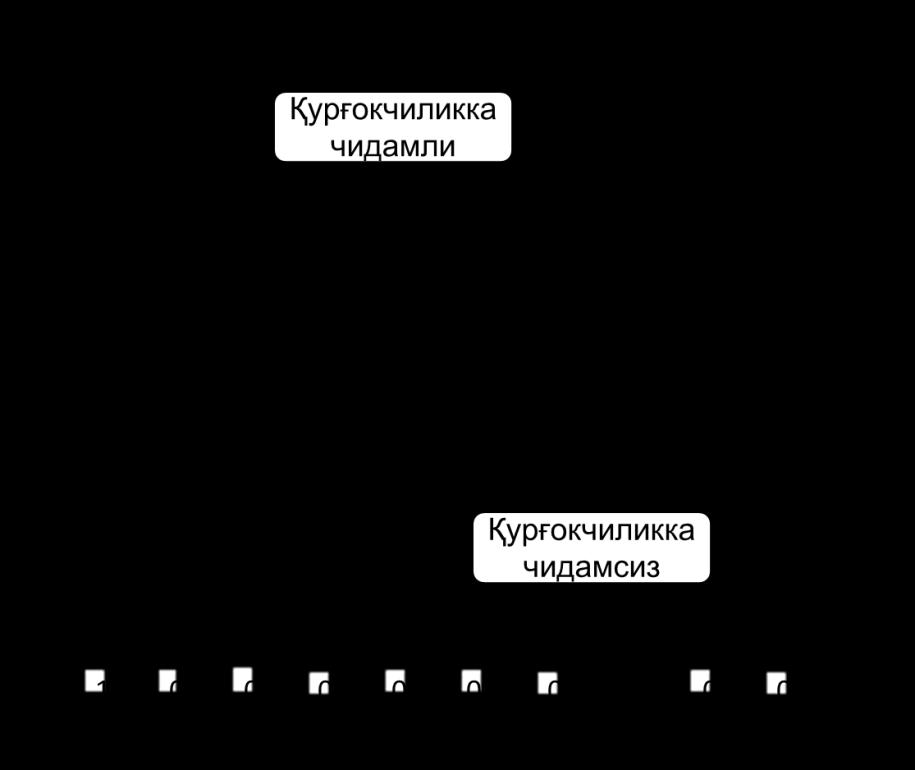 биомассанинг ривожланиши, биомасса тўпланишининг тўхташи, транспирация (Тr) ва ҳосил индекси (HI ўсимликнинг ҳосил қисмини умумий биомассага нисбати). 2-расм.