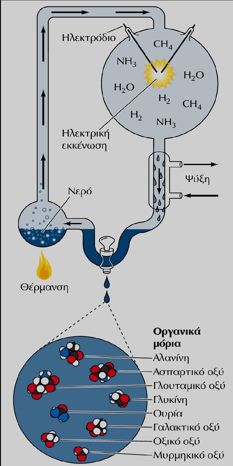 4 Το ΠΡΩΤΟ ΒΗΜΑ στην εξέλιξη Ο αυθόρμητος σχηματισμός οργανικών μορίων Σε αέριο μείγμα που περιείχε: CH 4, NH 3, H 2 και υδρατμούς προκλήθηκε ηλεκτρική εκκένωση.
