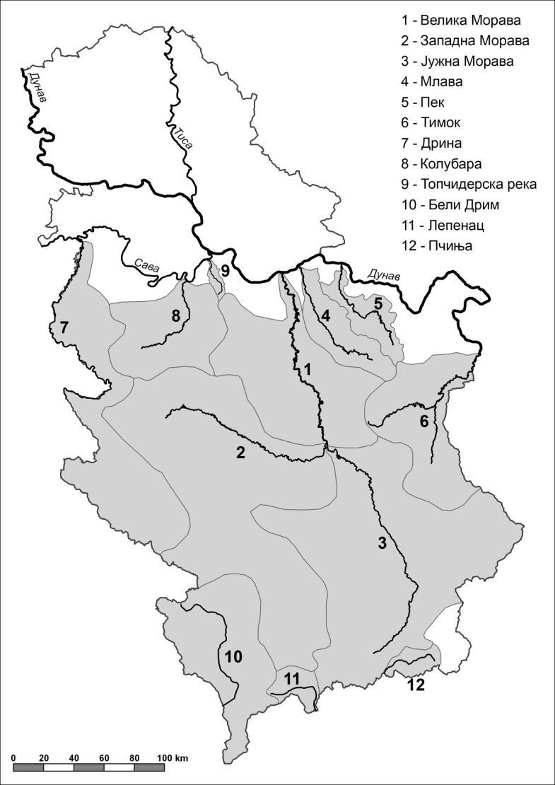 преко 1000 km 2 (А слив Власине = 1060 km 2 или А слив Нишаве = 3970 km 2 ) (ВОС, 2001). Слика 3.2. Најзначајнији речни сливови у Србији са аспекта појаве бујичних поплава Фазе у развоју Инвентара бујичних поплава у Србији (Слика 3.