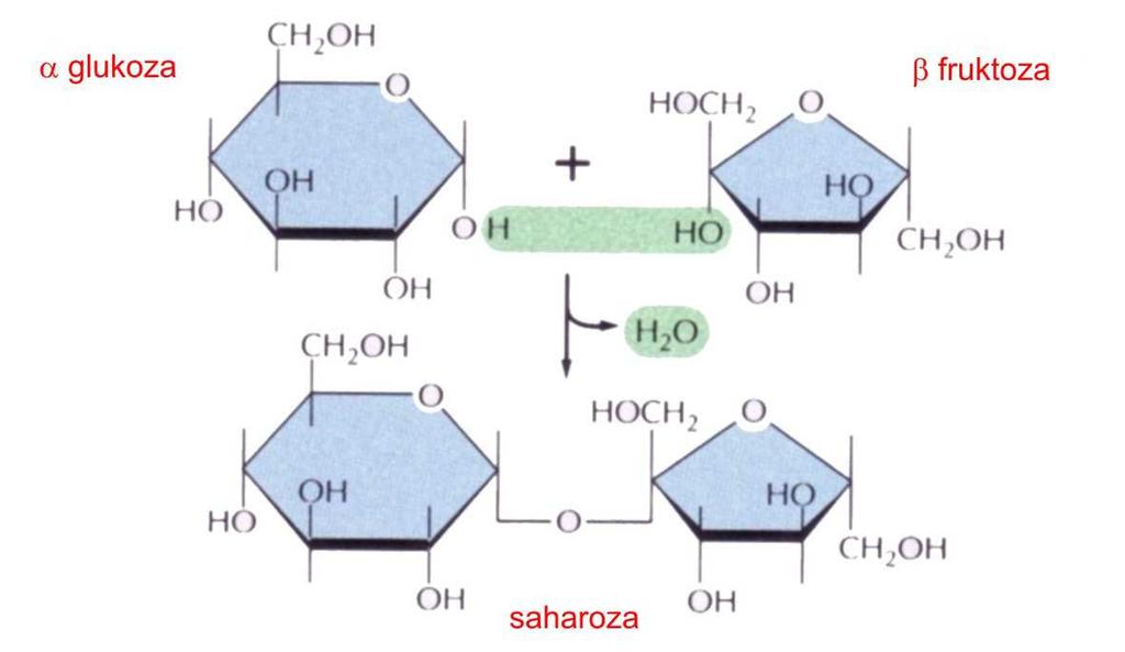 Disaharidi Reakcija aldehidne ili
