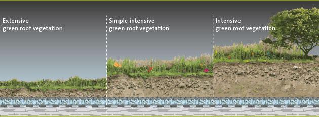 Ημιεκτατικός τύπος (Semi-extensive green roof) Εντατικός τύπος (Intensive green roof) Εικόνα 10. Τύποι Φυτεμένων Δωμάτων (www.researchgate.net) 1.4.