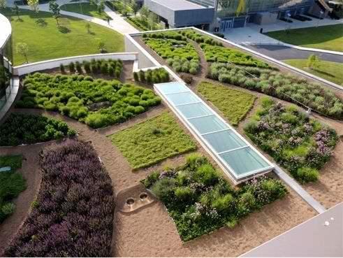 Εικόνα 17. Chicago City Hall (www.greenroofs.com) Εικόνα 18-19.