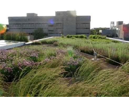 Lambi & Associates (www.greenroofs.com) 1.4.