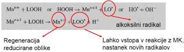 kovinskih ionov. Nastali alkoksilni radikali so nestabilni in razpadejo predvsem na kratkoveriţne MK in aldehide, ki imajo nekatere nezaţeljene lastnosti-katere.