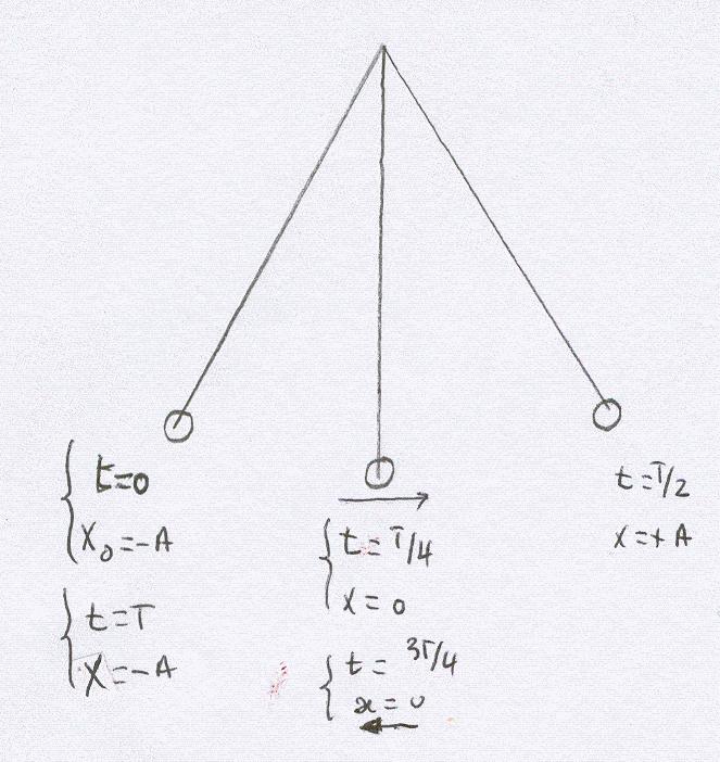 Irudiak hhs baten irudikapen grafikoa erakusten digu. Maiztasun angeluarra 1 da eta ondorioz T periodoak 2π s balio du. Hasierako desfasea - π rad da. 1. adibidea.