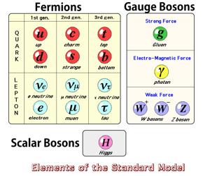 Standard Model of Elementary Particles Forces: electromagnetic, weak, strong (gauge bosons: photon, W ±, Z, gluon)