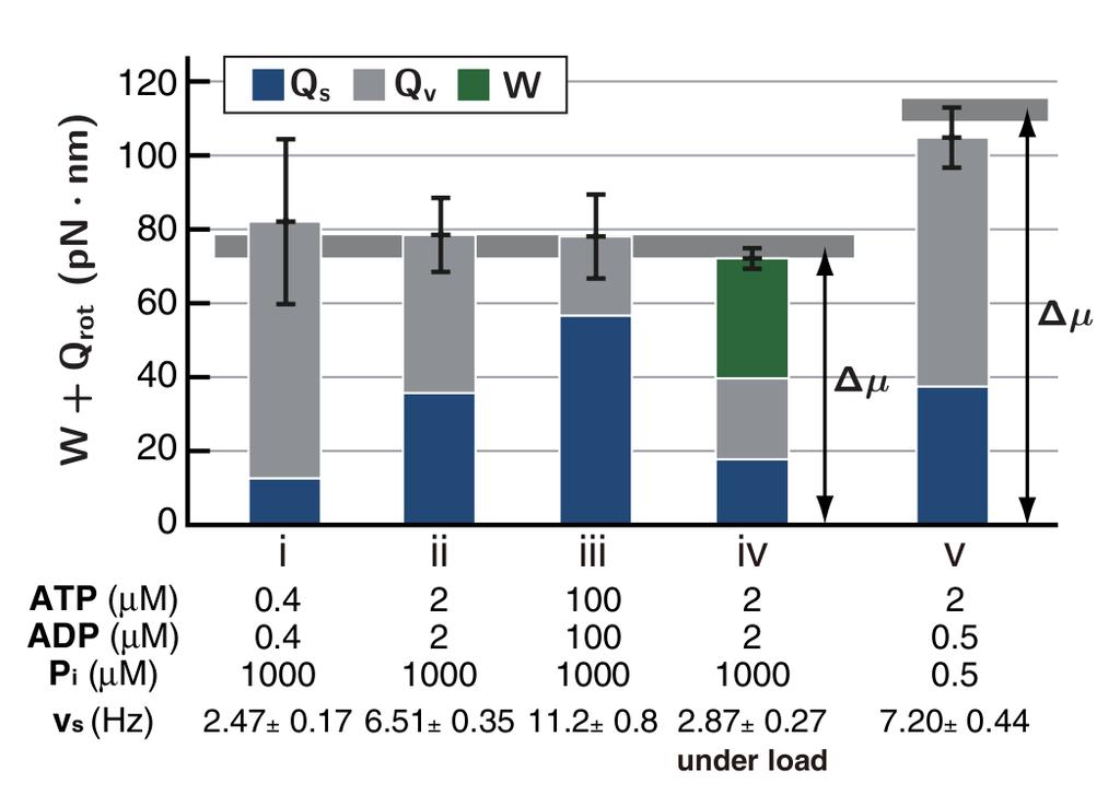 Comparison to experiment quite reasonable