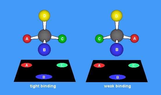 Izomerija: optička A: enantiomeri Jako vezivanje